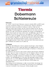 Dobermann - Schleiereule.pdf